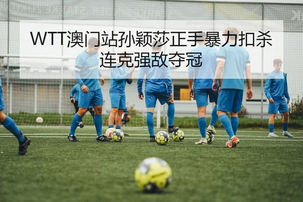 ao-men-zhan-sun-ying-sha-zheng-shou-bao-li-kou-sha-lian-ke-qiang-di-duo-guan-2-259.jpg